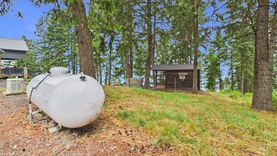 Log home with views of Dworshak Reservoir! This exceptional - photo 43