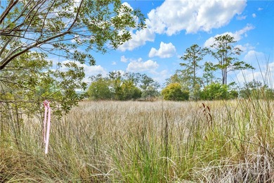 187 Burton Rd is Lot 3 of the 4 Lots For Sale on the Ogeechee - photo 1
