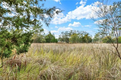 187 Burton Rd is Lot 3 of the 4 Lots For Sale on the Ogeechee - photo 3
