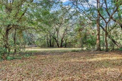 187 Burton Rd is Lot 3 of the 4 Lots For Sale on the Ogeechee - photo 6