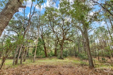 187 Burton Rd is Lot 3 of the 4 Lots For Sale on the Ogeechee - photo 10