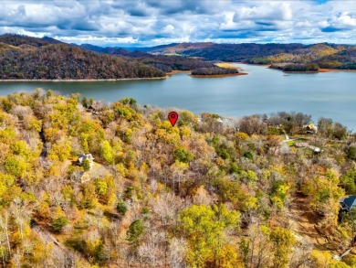 Escape to Your Cherokee Lake Retreat: Wooded Lot with Cove Access - photo 14