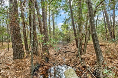 181 Burton Rd is Lot 4 of the 4 Lots For Sale on the Little - photo 8