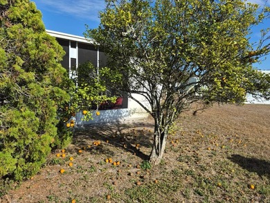 NICE 2 BEDROOM 2 BATH MOBILE HOME LOCATED IN HACIENDA VILLAGE IN - photo 3