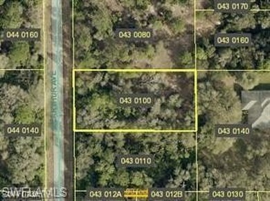 Lehigh Acres Area Lot For Sale in Lehigh Acres Florida