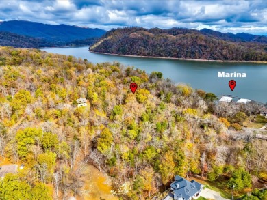 Escape to Your Cherokee Lake Retreat: Wooded Lot with Cove Access - photo 15