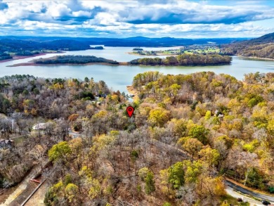 Escape to Your Cherokee Lake Retreat: Wooded Lot with Cove Access - photo 10