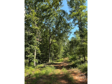 (private lake, pond, coastal) Acreage For Sale in Madison Georgia