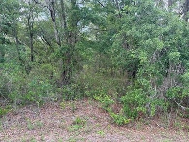 One acre homesite with paved road frontage. Located near - photo 1