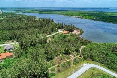 Great opportunity to own this land in South Gulf Cove - photo 1