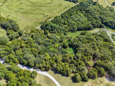 Lake Acreage For Sale in Whitesboro, Texas