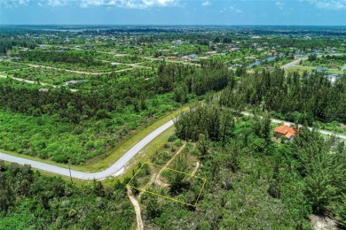 Great opportunity to own this land in South Gulf Cove - photo 2