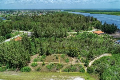 Great opportunity to own this land in South Gulf Cove - photo 3