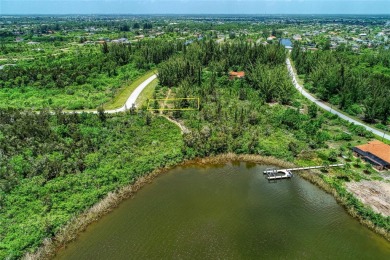 Great opportunity to own this land in South Gulf Cove - photo 4