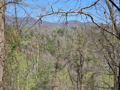 (private lake, pond, coastal) Lot For Sale in Whittier North Carolina