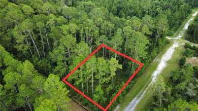 Lake George Lot For Sale in Georgetown Florida
