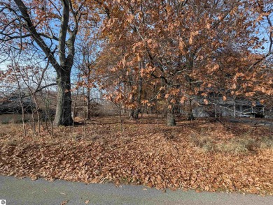 Lake Huron - Arenac County Lot Sale Pending in Au Gres Michigan