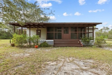 Lake Home For Sale in Ludowici, Georgia