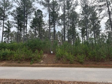 Almost 3 acres in Waterfront Community on beautiful Lake Gaston - photo 3