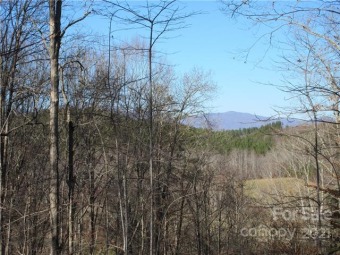 Lake Lure Lot For Sale in Mill Spring North Carolina