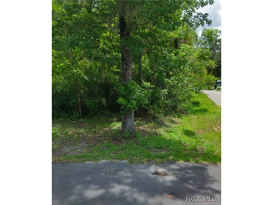 Lake Lot For Sale in Lake Panasoffkee, Florida