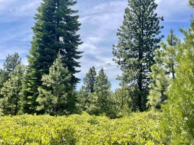 Lake Lot For Sale in Lake Almanor, California