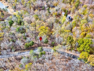 Escape to Your Cherokee Lake Retreat: Wooded Lot with Cove Access - photo 6
