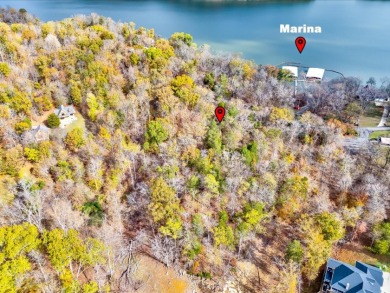 Escape to Your Cherokee Lake Retreat: Wooded Lot with Cove Access - photo 8