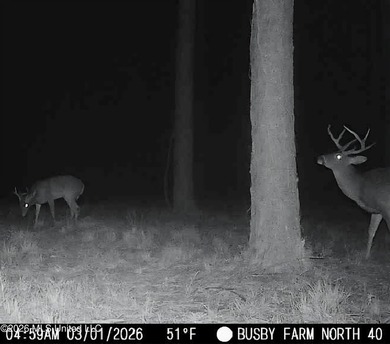 (private lake, pond, coastal) Acreage For Sale in Bogue Chitto Mississippi