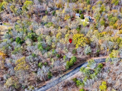 Escape to Your Cherokee Lake Retreat: Wooded Lot with Cove Access - photo 18