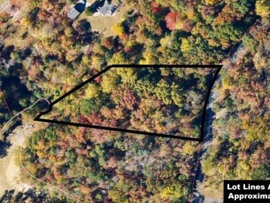 Escape to Your Cherokee Lake Retreat: Wooded Lot with Cove Access - photo 2