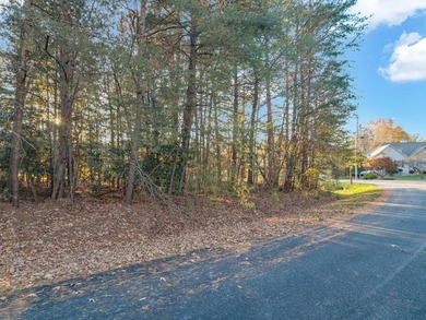 Don't miss this beautiful corner lot located in the heart of - photo 3