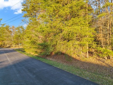 Don't miss this beautiful corner lot located in the heart of - photo 4