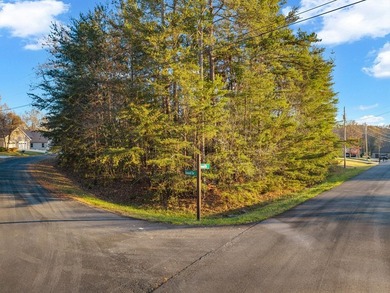 Don't miss this beautiful corner lot located in the heart of - photo 5
