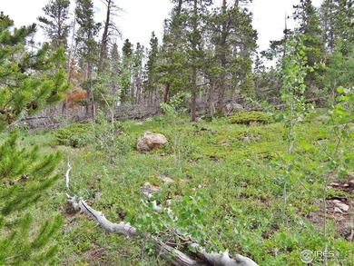 Panhandle Reservoir Lot For Sale in Red Feather Lakes Colorado