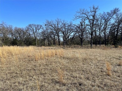 This could be your happy place!  Approximately 14.4 acres is - photo 11