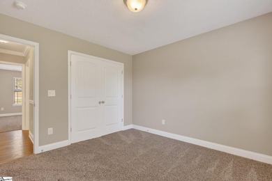 NO HOA! Beautiful 1/2 Acre Lot Just Minutes From Downtown Greer! - photo 29