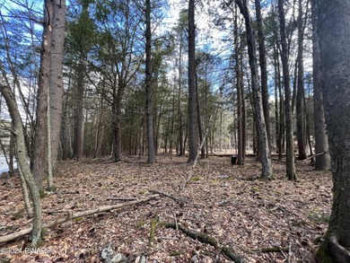 Lackawaxen River  Lot For Sale in Hawley Pennsylvania