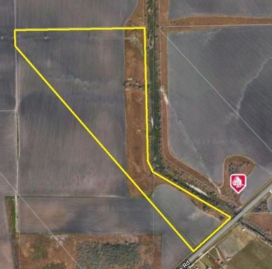 58 ACRES AVAILABLE, LOCATED ON OLD BROWNSVILLE RD. ZONED AG-OPEN - photo 2