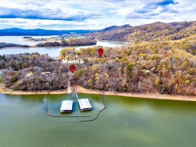 Escape to Your Cherokee Lake Retreat: Wooded Lot with Cove Access - photo 17