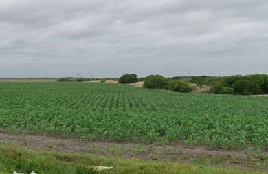 58 ACRES AVAILABLE, LOCATED ON OLD BROWNSVILLE RD. ZONED AG-OPEN - photo 3