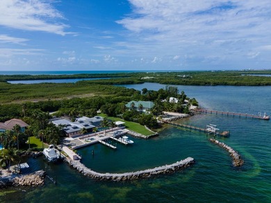 Morton Manor is a timeless estate nestled along the Gulf's bay - photo 55