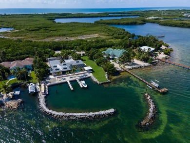 Morton Manor is a timeless estate nestled along the Gulf's bay - photo 56