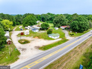 (private lake, pond, coastal) Commercial For Sale in Braselton Georgia