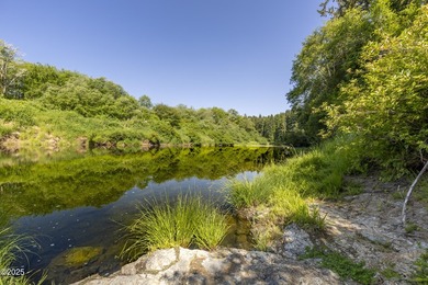 Private Gated Riverfront Home on the Siletz River. Fishing - photo 11