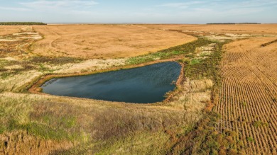 Lakeview Legacy Farms offers the best of South Dakota's sporting - photo 11