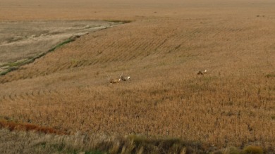 Lakeview Legacy Farms offers the best of South Dakota's sporting - photo 12