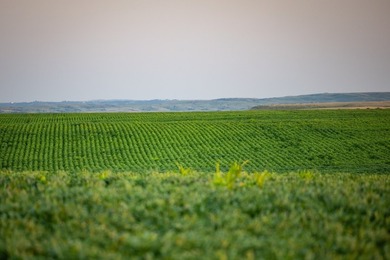 Lakeview Legacy Farms offers the best of South Dakota's sporting - photo 14