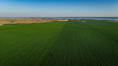 Lakeview Legacy Farms offers the best of South Dakota's sporting - photo 18