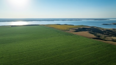 Lakeview Legacy Farms offers the best of South Dakota's sporting - photo 19